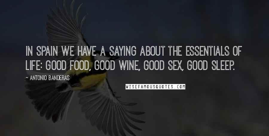 Antonio Banderas Quotes: In Spain we have a saying about the essentials of life: good food, good wine, good sex, good sleep.