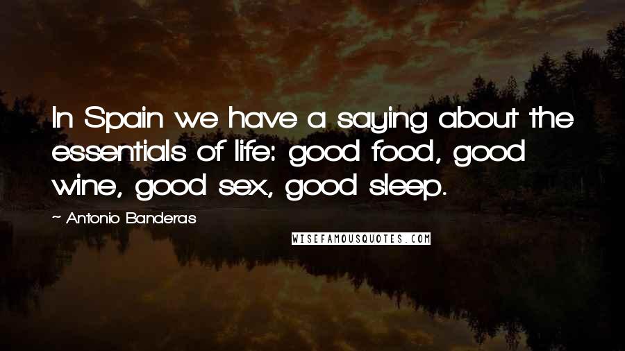 Antonio Banderas Quotes: In Spain we have a saying about the essentials of life: good food, good wine, good sex, good sleep.