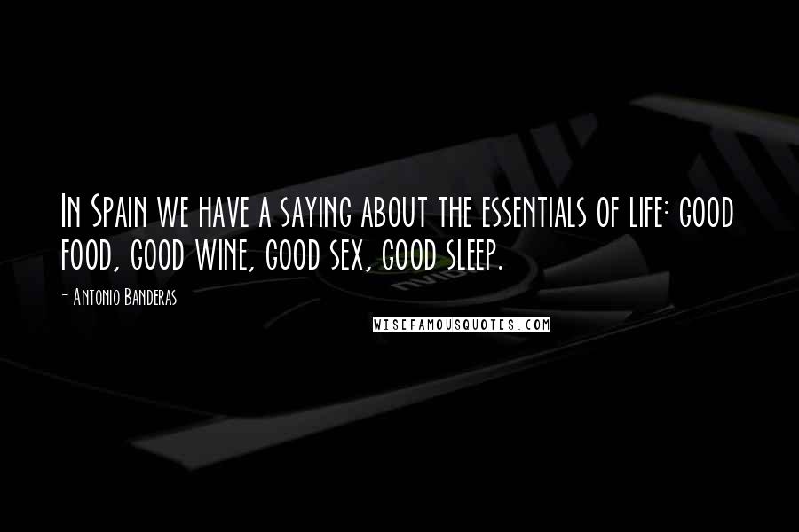 Antonio Banderas Quotes: In Spain we have a saying about the essentials of life: good food, good wine, good sex, good sleep.