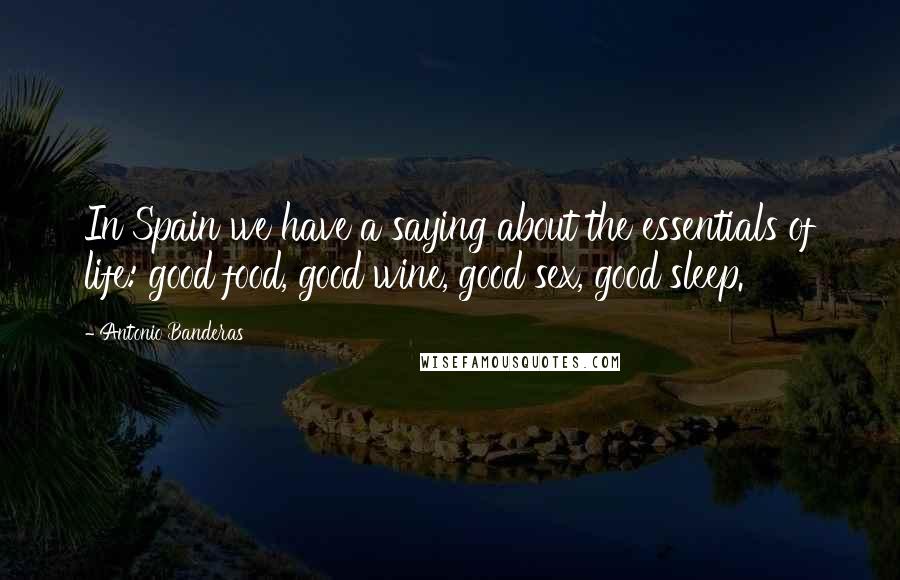 Antonio Banderas Quotes: In Spain we have a saying about the essentials of life: good food, good wine, good sex, good sleep.