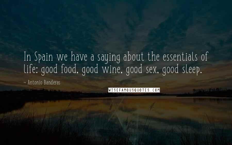 Antonio Banderas Quotes: In Spain we have a saying about the essentials of life: good food, good wine, good sex, good sleep.