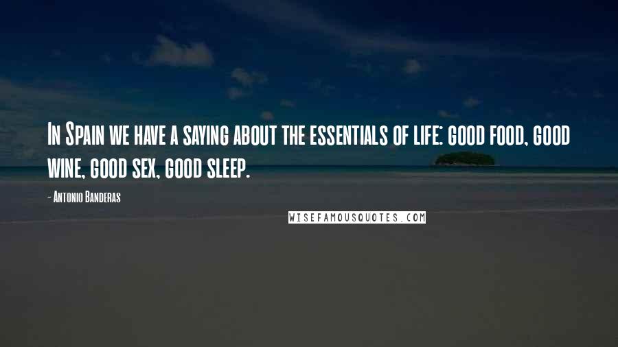Antonio Banderas Quotes: In Spain we have a saying about the essentials of life: good food, good wine, good sex, good sleep.