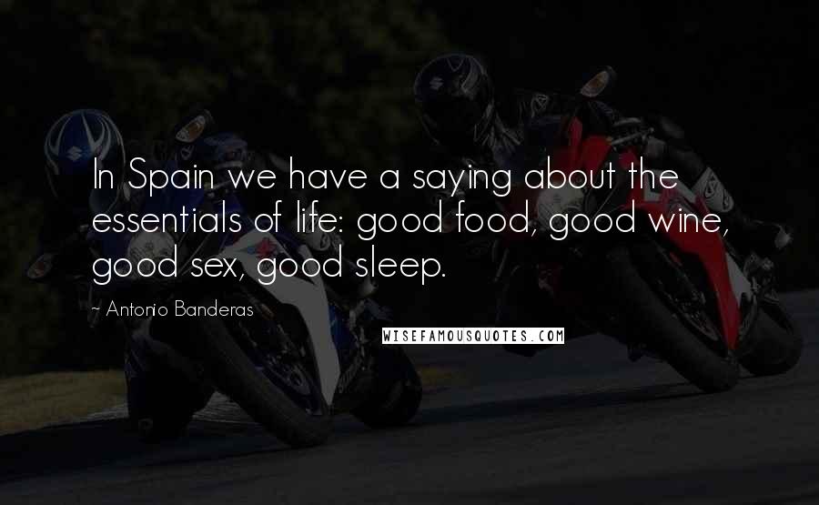 Antonio Banderas Quotes: In Spain we have a saying about the essentials of life: good food, good wine, good sex, good sleep.
