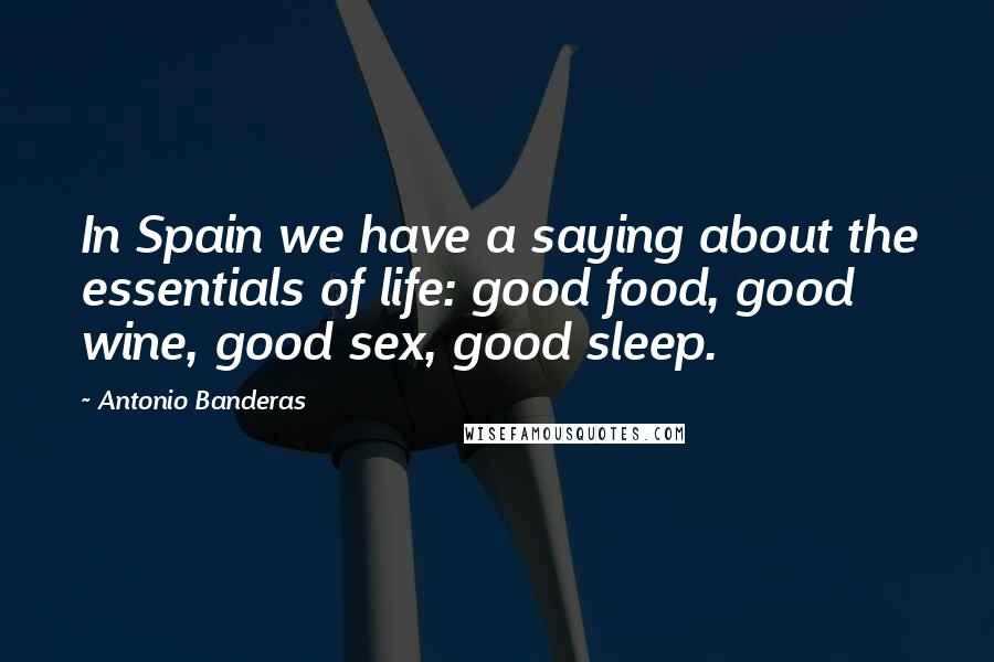 Antonio Banderas Quotes: In Spain we have a saying about the essentials of life: good food, good wine, good sex, good sleep.