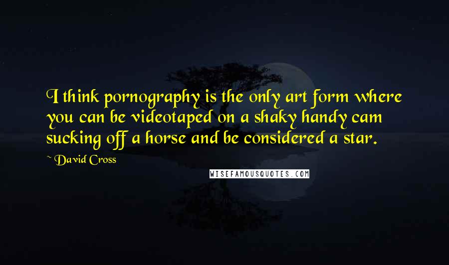 David Cross Quotes: I think pornography is the only art form where you can be videotaped on a shaky handy cam sucking off a horse and be considered a star.
