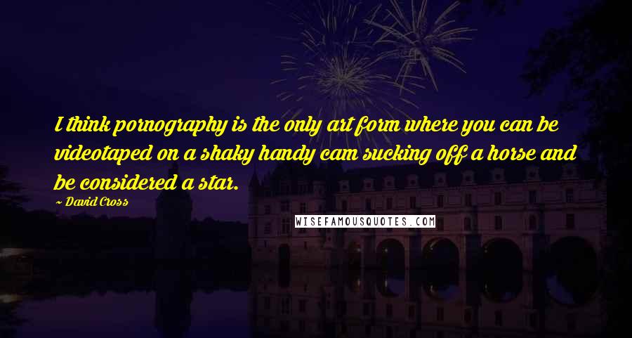 David Cross Quotes: I think pornography is the only art form where you can be videotaped on a shaky handy cam sucking off a horse and be considered a star.