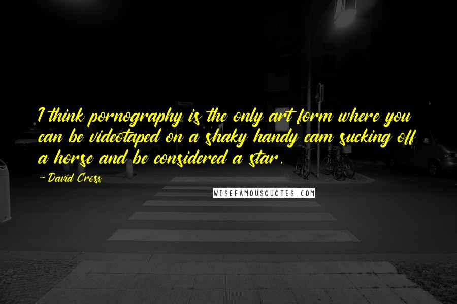 David Cross Quotes: I think pornography is the only art form where you can be videotaped on a shaky handy cam sucking off a horse and be considered a star.