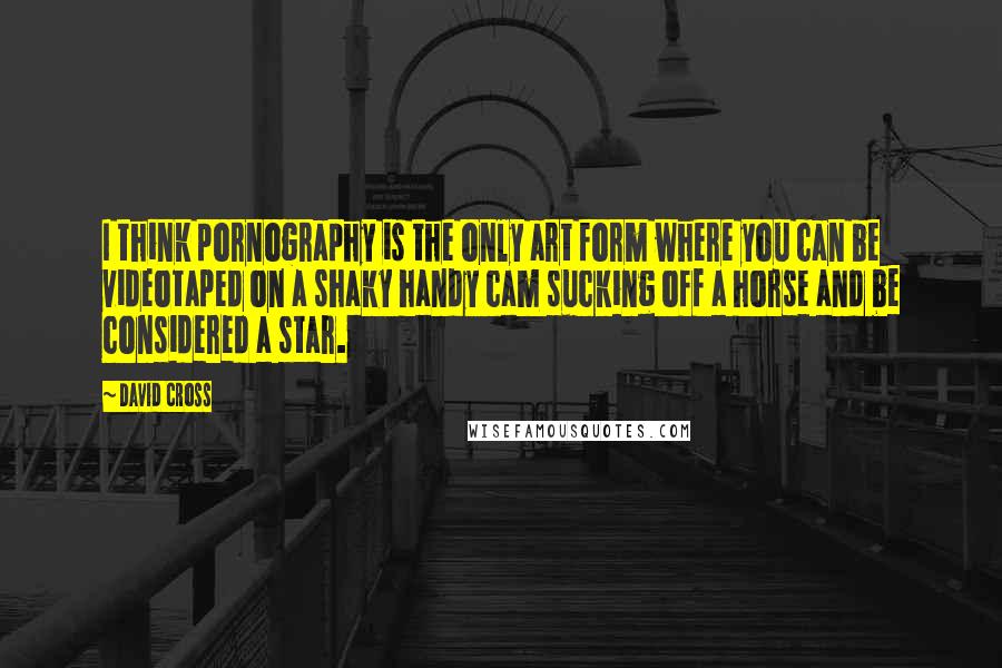 David Cross Quotes: I think pornography is the only art form where you can be videotaped on a shaky handy cam sucking off a horse and be considered a star.