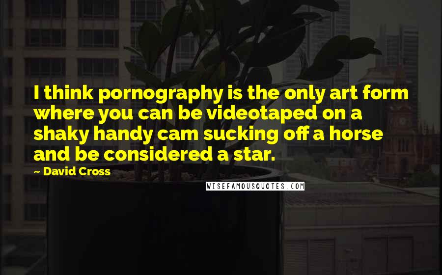 David Cross Quotes: I think pornography is the only art form where you can be videotaped on a shaky handy cam sucking off a horse and be considered a star.