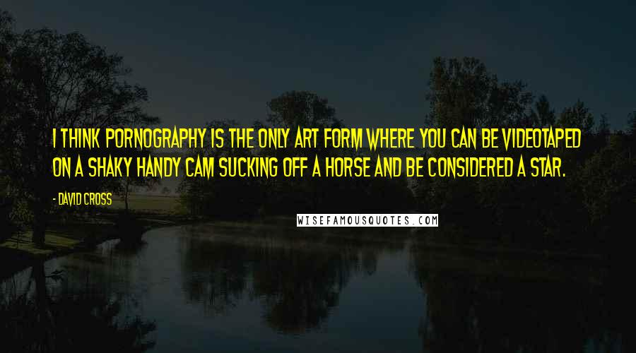 David Cross Quotes: I think pornography is the only art form where you can be videotaped on a shaky handy cam sucking off a horse and be considered a star.