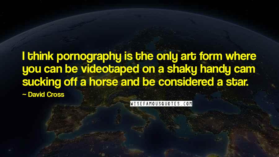 David Cross Quotes: I think pornography is the only art form where you can be videotaped on a shaky handy cam sucking off a horse and be considered a star.