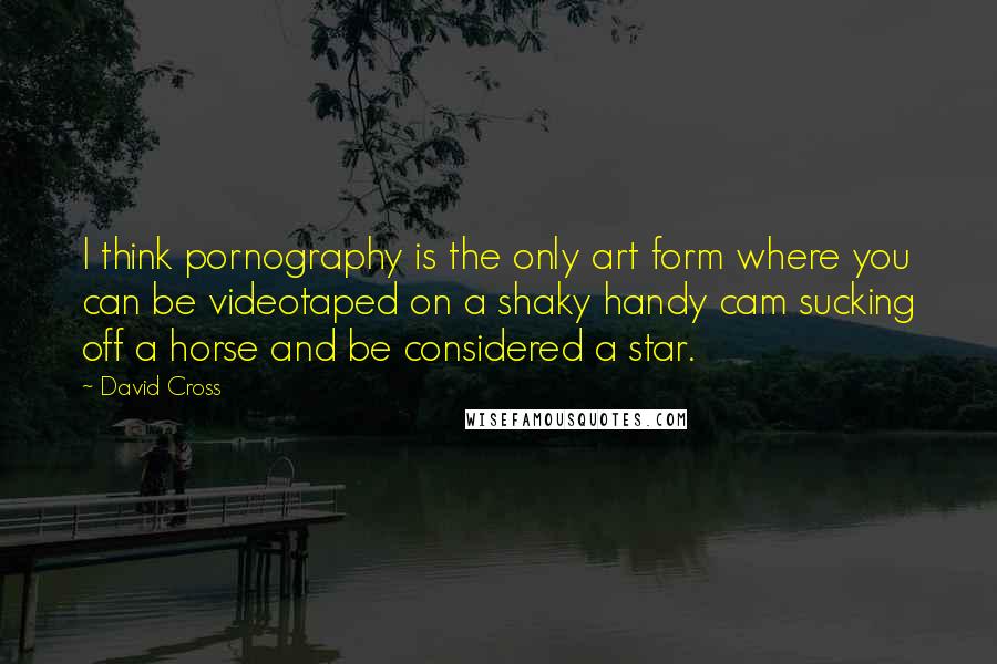 David Cross Quotes: I think pornography is the only art form where you can be videotaped on a shaky handy cam sucking off a horse and be considered a star.