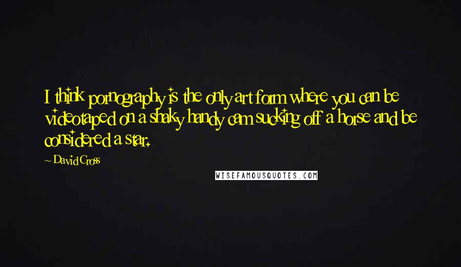 David Cross Quotes: I think pornography is the only art form where you can be videotaped on a shaky handy cam sucking off a horse and be considered a star.