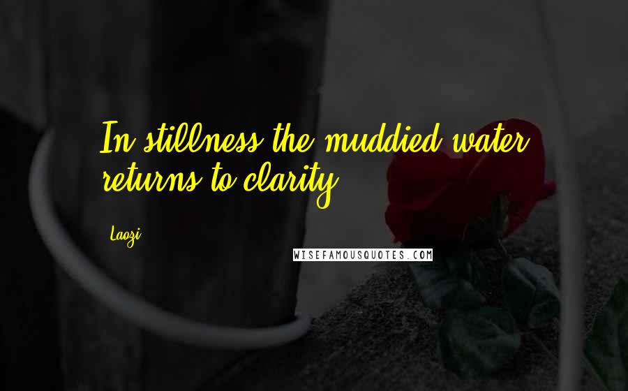 Laozi Quotes: In stillness the muddied water returns to clarity.