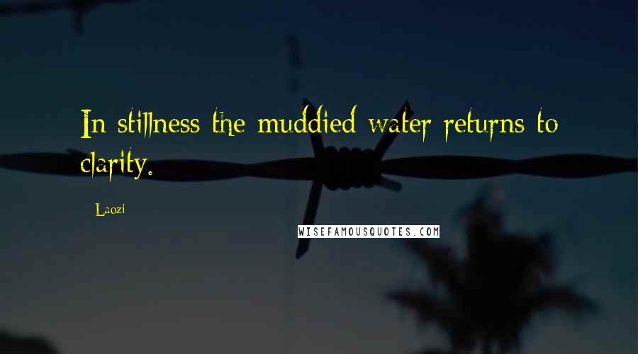 Laozi Quotes: In stillness the muddied water returns to clarity.