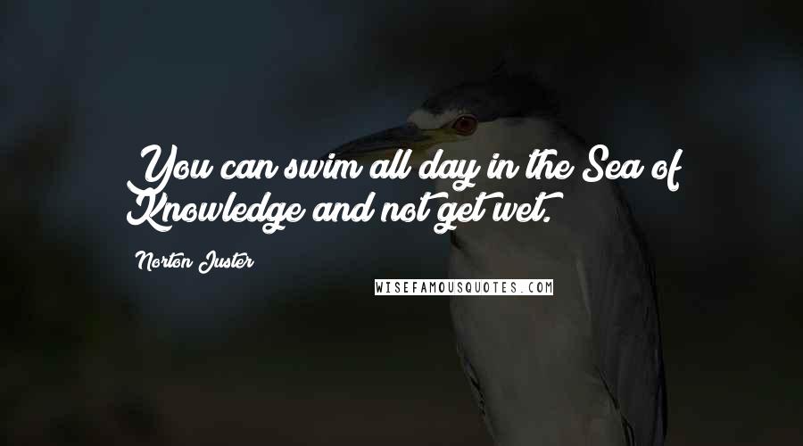 Norton Juster Quotes: You can swim all day in the Sea of Knowledge and not get wet.