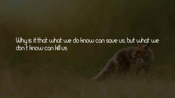 Merlins Quotes
