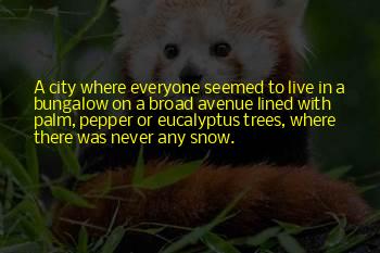 Snow On Trees Quotes