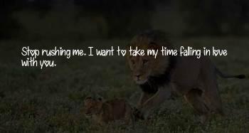 Stop Falling In Love Quotes
