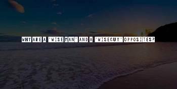 Wiseguy Quotes