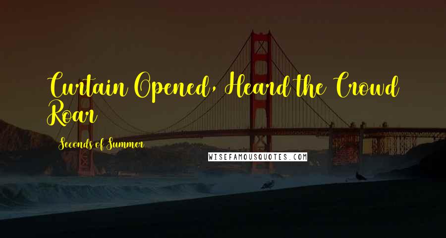 5 Seconds Of Summer Quotes: Curtain Opened, Heard the Crowd Roar