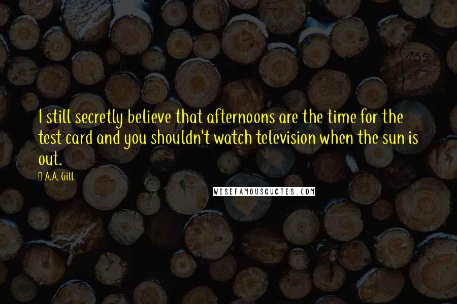 A.A. Gill Quotes: I still secretly believe that afternoons are the time for the test card and you shouldn't watch television when the sun is out.