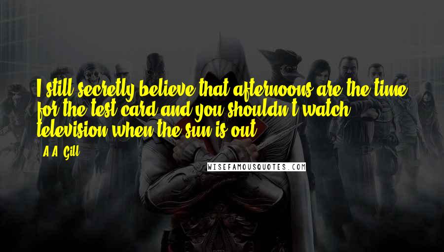 A.A. Gill Quotes: I still secretly believe that afternoons are the time for the test card and you shouldn't watch television when the sun is out.