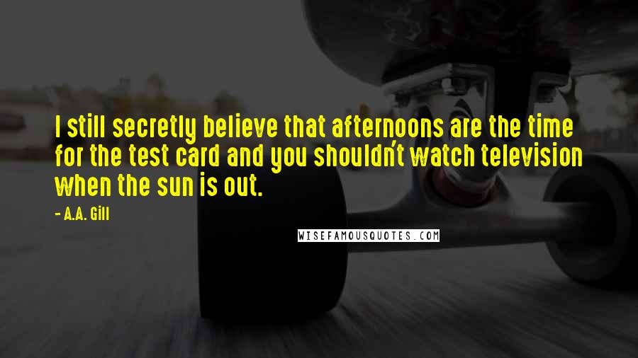 A.A. Gill Quotes: I still secretly believe that afternoons are the time for the test card and you shouldn't watch television when the sun is out.