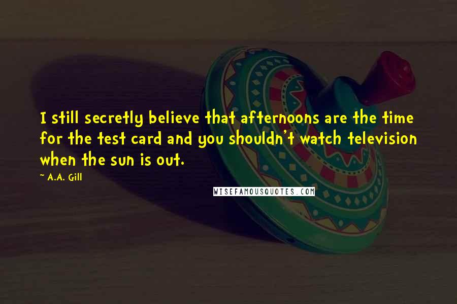 A.A. Gill Quotes: I still secretly believe that afternoons are the time for the test card and you shouldn't watch television when the sun is out.