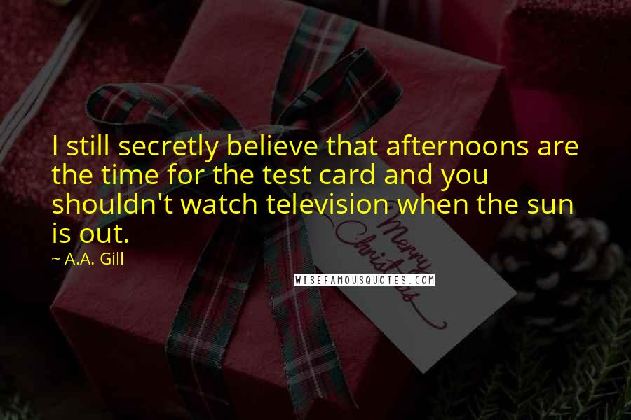 A.A. Gill Quotes: I still secretly believe that afternoons are the time for the test card and you shouldn't watch television when the sun is out.