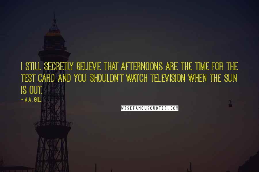 A.A. Gill Quotes: I still secretly believe that afternoons are the time for the test card and you shouldn't watch television when the sun is out.