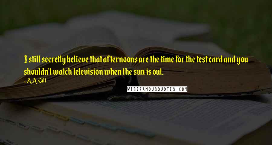 A.A. Gill Quotes: I still secretly believe that afternoons are the time for the test card and you shouldn't watch television when the sun is out.