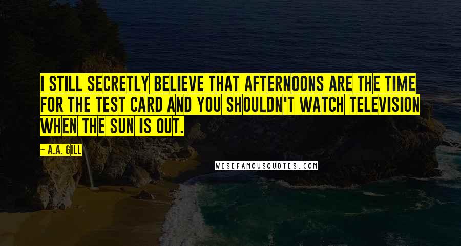 A.A. Gill Quotes: I still secretly believe that afternoons are the time for the test card and you shouldn't watch television when the sun is out.