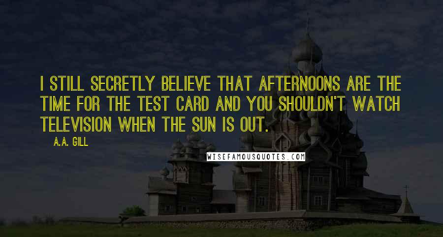 A.A. Gill Quotes: I still secretly believe that afternoons are the time for the test card and you shouldn't watch television when the sun is out.