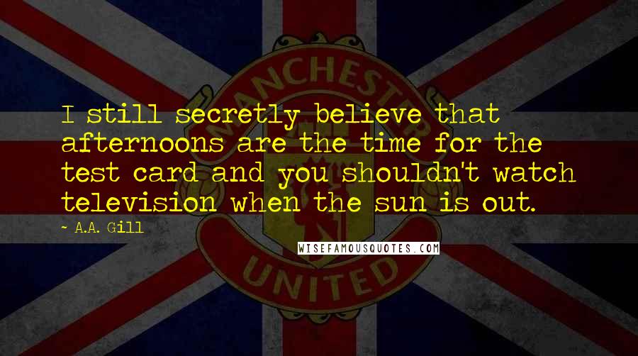 A.A. Gill Quotes: I still secretly believe that afternoons are the time for the test card and you shouldn't watch television when the sun is out.