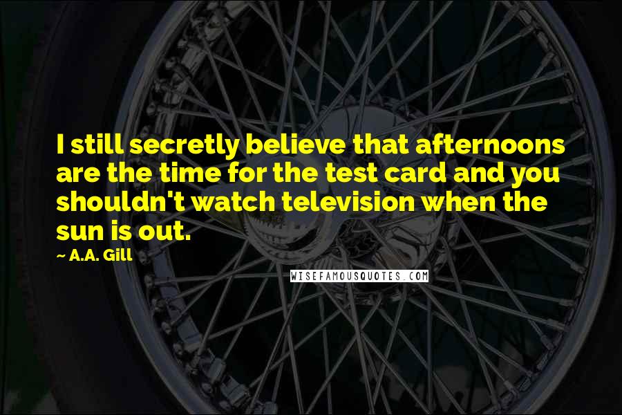 A.A. Gill Quotes: I still secretly believe that afternoons are the time for the test card and you shouldn't watch television when the sun is out.