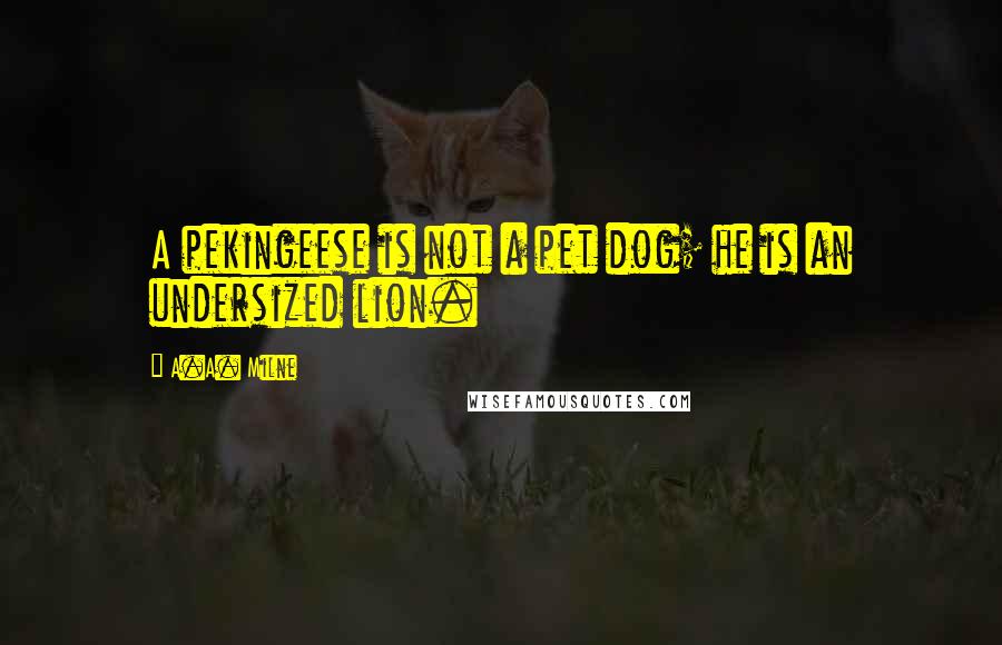 A.A. Milne Quotes: A pekingeese is not a pet dog; he is an undersized lion.