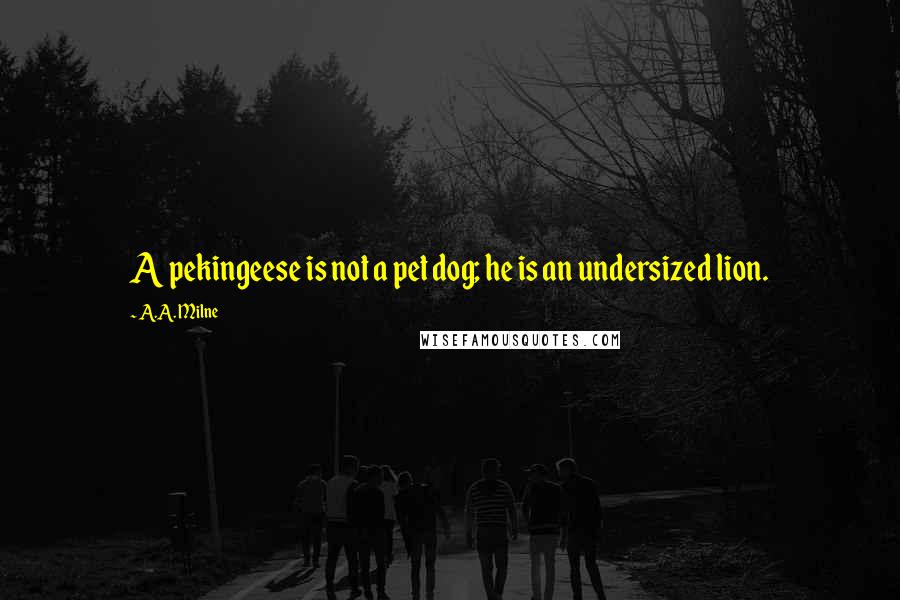 A.A. Milne Quotes: A pekingeese is not a pet dog; he is an undersized lion.
