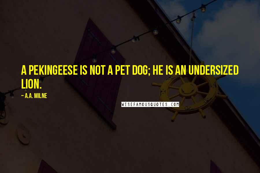 A.A. Milne Quotes: A pekingeese is not a pet dog; he is an undersized lion.