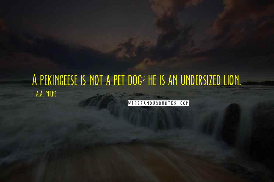 A.A. Milne Quotes: A pekingeese is not a pet dog; he is an undersized lion.