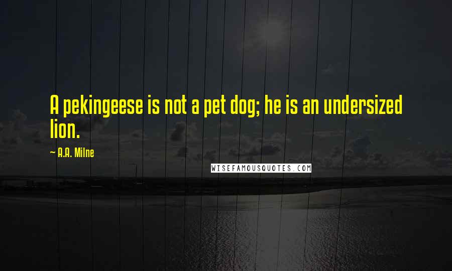 A.A. Milne Quotes: A pekingeese is not a pet dog; he is an undersized lion.