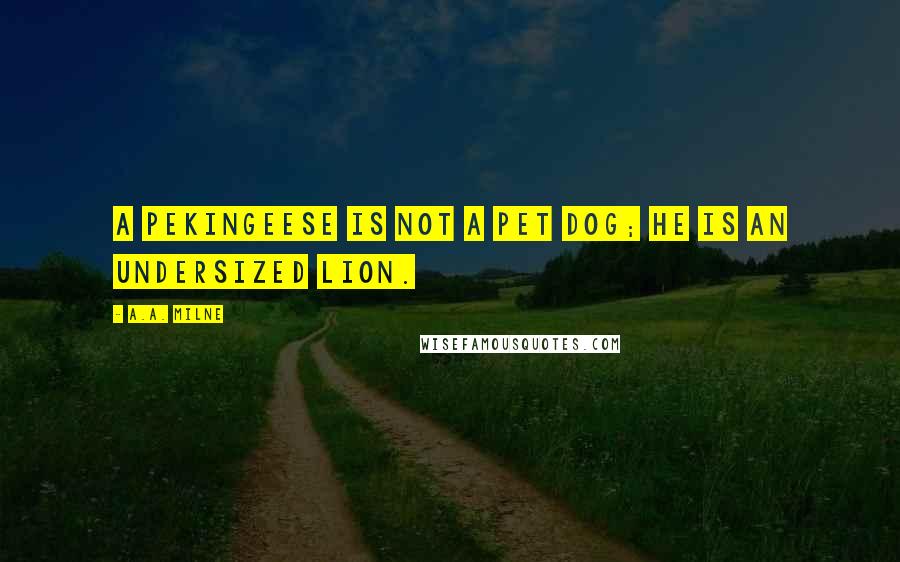 A.A. Milne Quotes: A pekingeese is not a pet dog; he is an undersized lion.