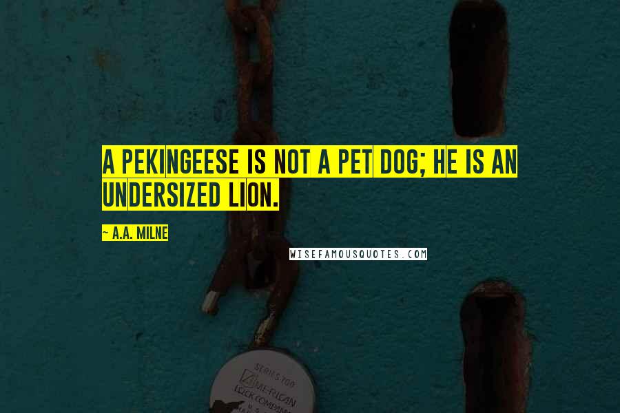 A.A. Milne Quotes: A pekingeese is not a pet dog; he is an undersized lion.