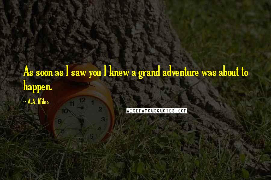 A.A. Milne Quotes: As soon as I saw you I knew a grand adventure was about to happen.