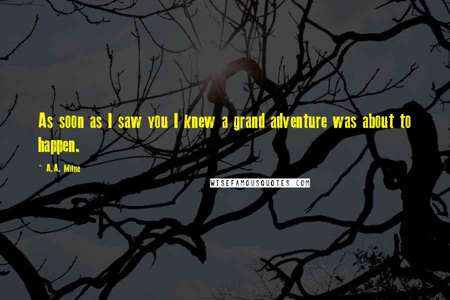 A.A. Milne Quotes: As soon as I saw you I knew a grand adventure was about to happen.