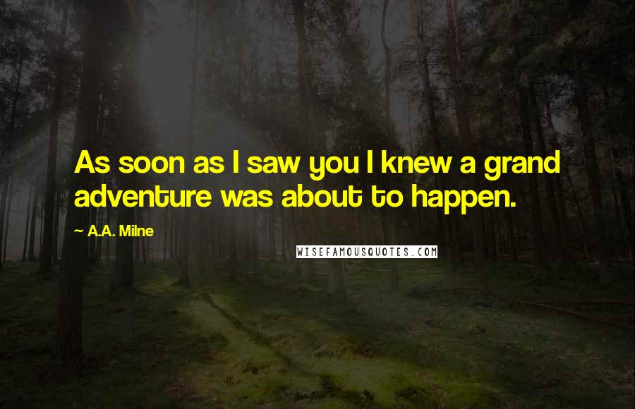 A.A. Milne Quotes: As soon as I saw you I knew a grand adventure was about to happen.