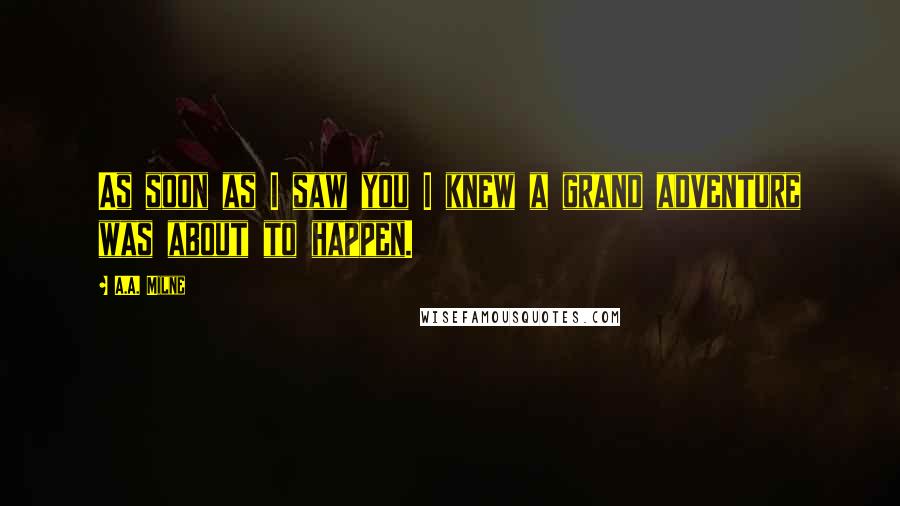 A.A. Milne Quotes: As soon as I saw you I knew a grand adventure was about to happen.