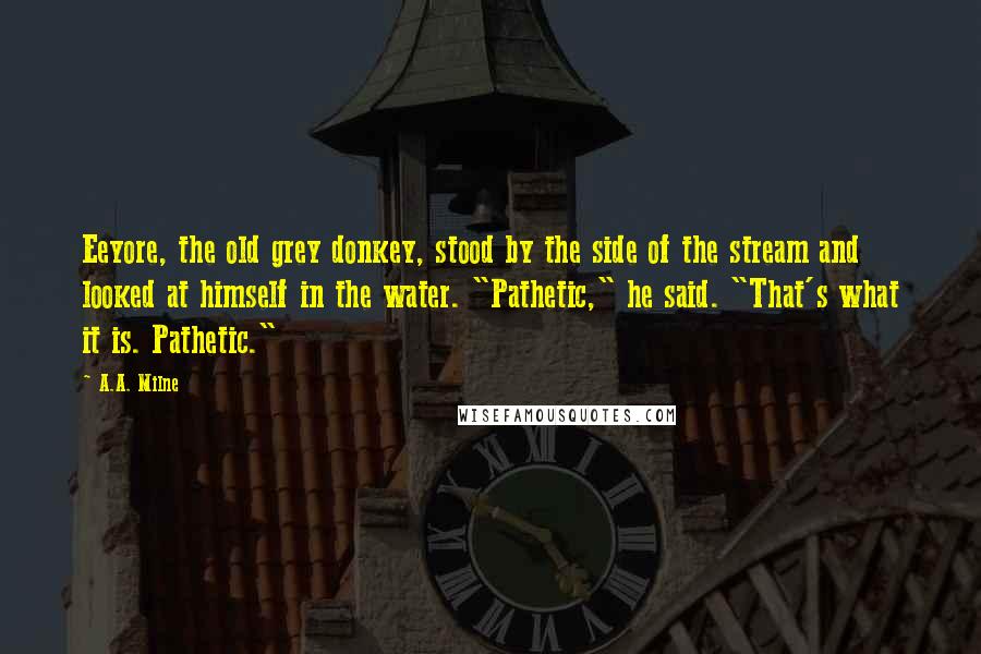 A.A. Milne Quotes: Eeyore, the old grey donkey, stood by the side of the stream and looked at himself in the water. "Pathetic," he said. "That's what it is. Pathetic."