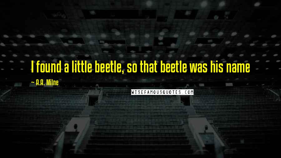 A.A. Milne Quotes: I found a little beetle, so that beetle was his name