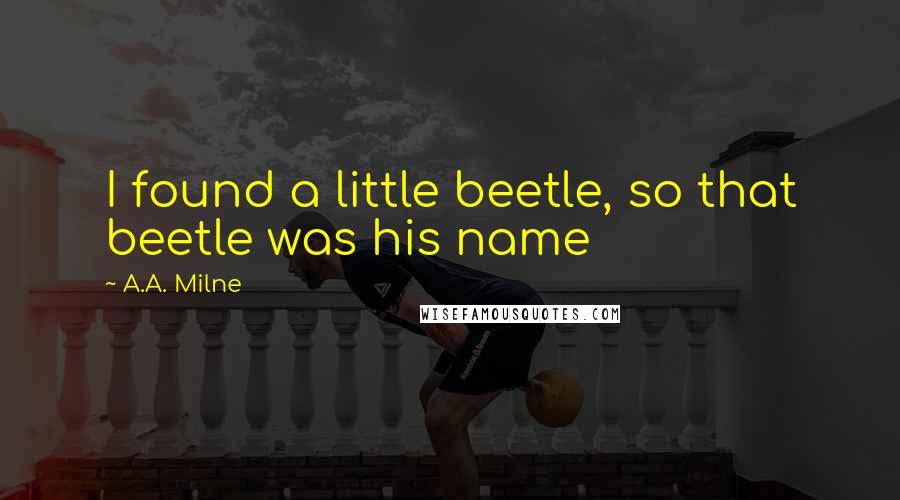 A.A. Milne Quotes: I found a little beetle, so that beetle was his name